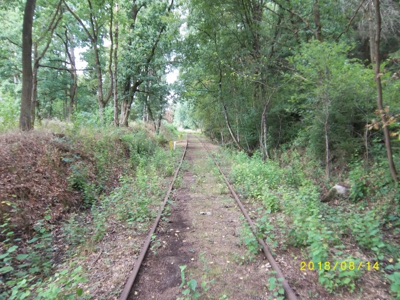 ZWNEGI34
